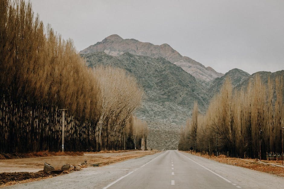 A picturesque image showcasing the scenic road trip from Palani to Kodaikanal.