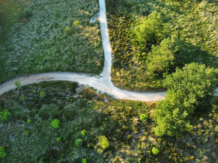 Image of winding pathways in Kodaikanal, visually depicting the sense of adventure